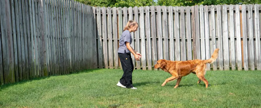 woman playing outside with dog