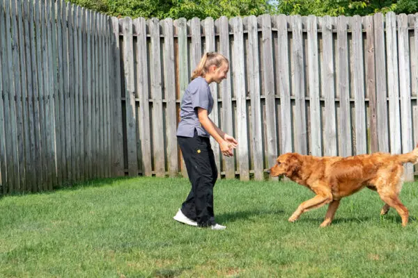 woman playing outside with dog