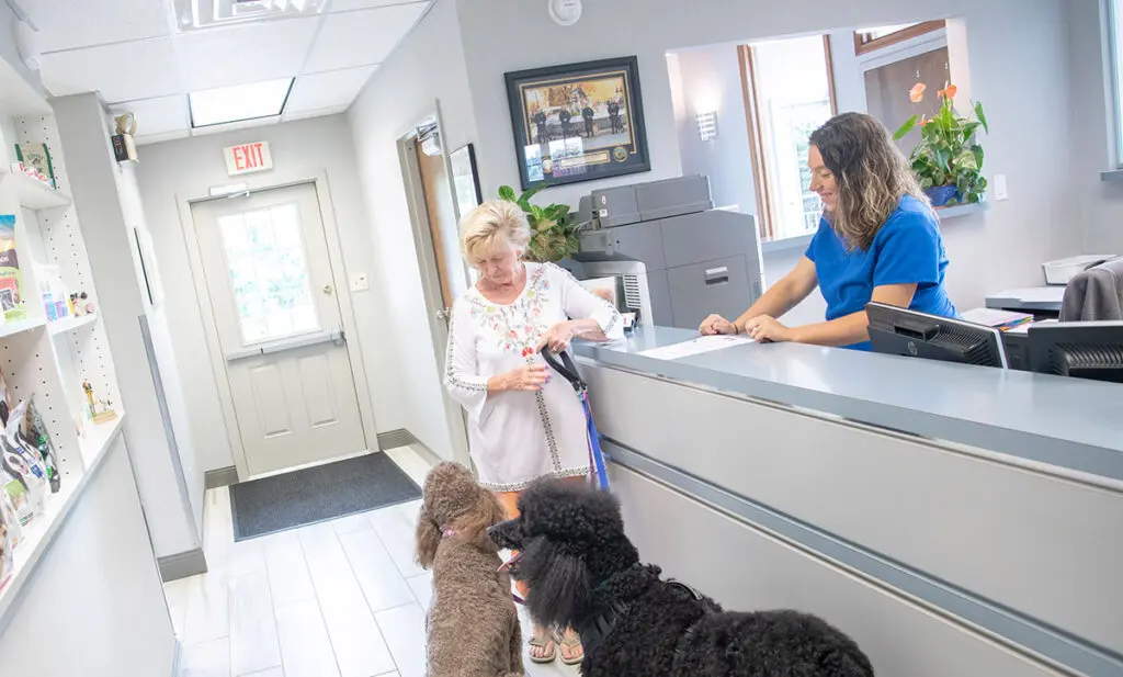Dogs in the vet reception area