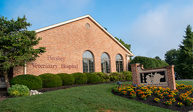 Hershey Veterinary Hospital exterior building front