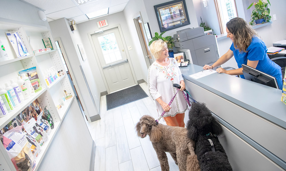 new patients at the vet