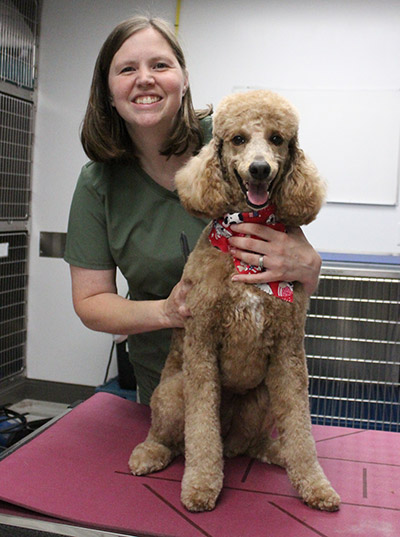 Groomer at Hershey Vet with a poodle