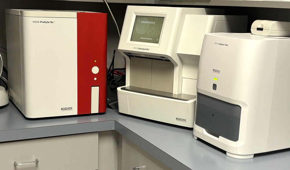 blood analysis machines