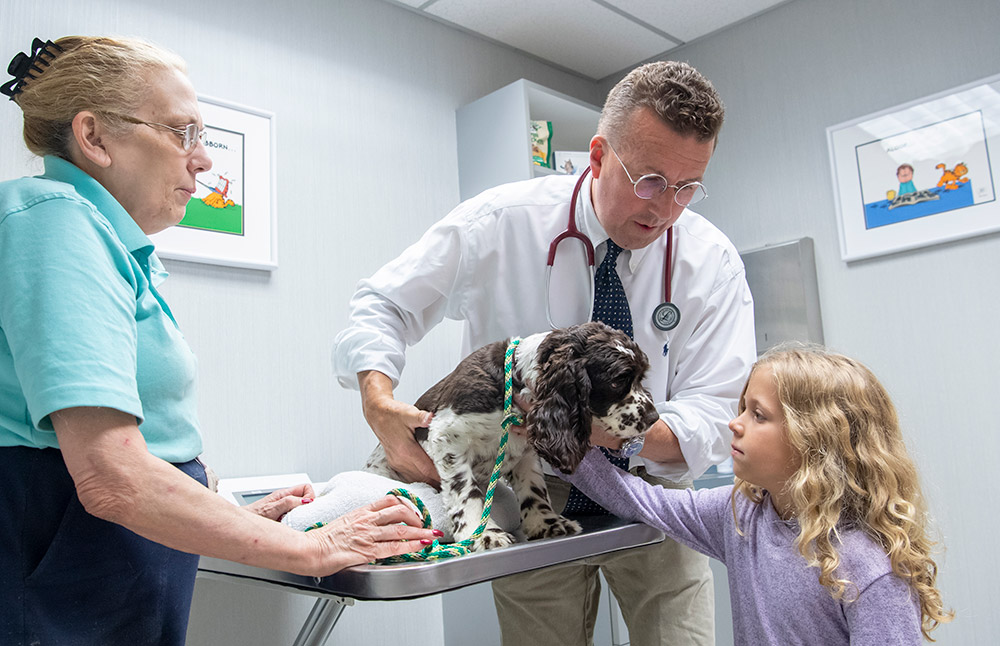 Dr Schengrund with patients as he examines a dog