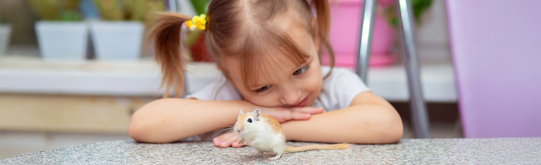 Girl with gerbil